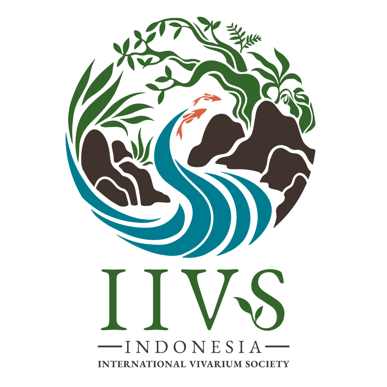IIVS